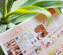 情報誌ツルカメ2025年4月号